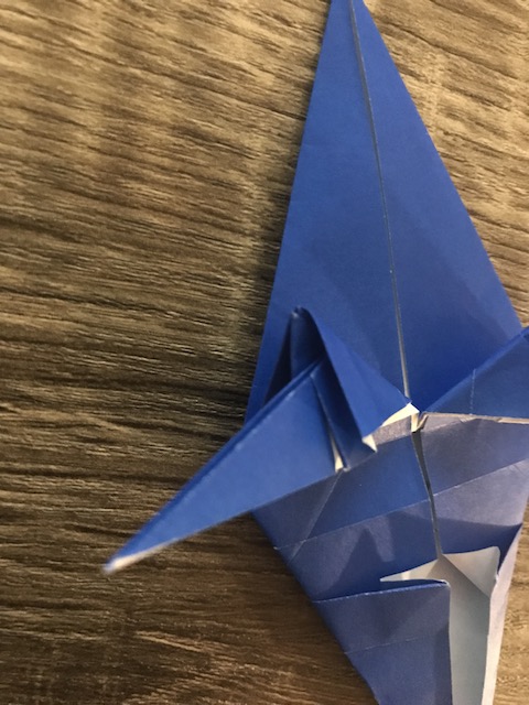 The Origami Forum View Topic Petr Struchly Reference Fold